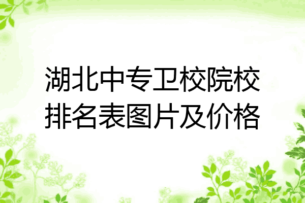 湖北中专卫校院校排名表图片及价格