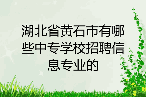 湖北省黄石市有哪些中专学校招聘信息专业的