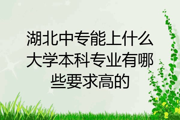 湖北中专能上什么大学本科专业有哪些要求高的