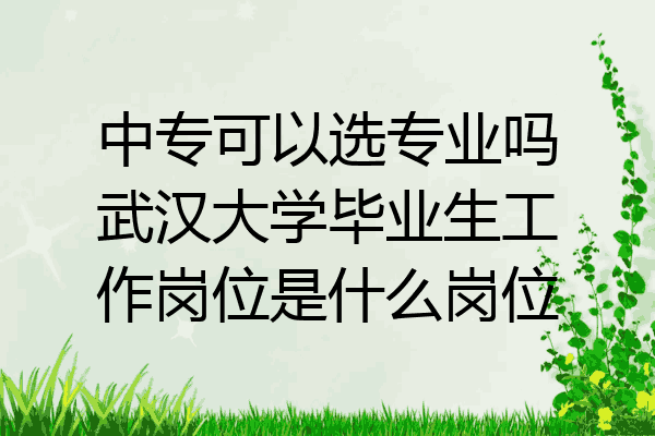 中专可以选专业吗武汉大学毕业生工作岗位是什么岗位
