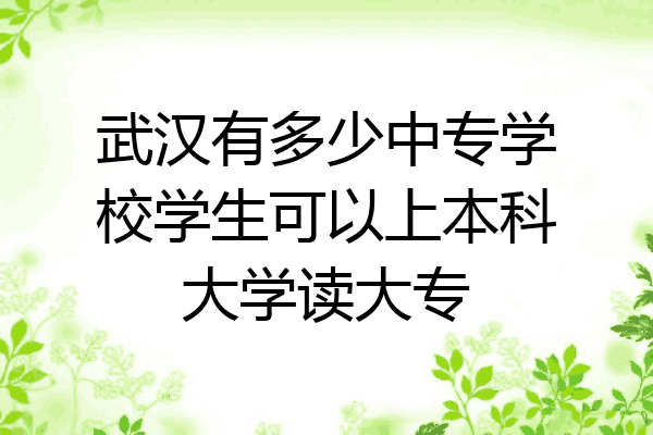 武汉有多少中专学校学生可以上本科大学读大专