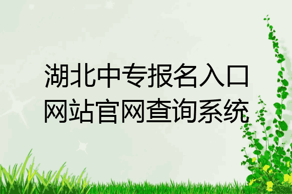 湖北中专报名入口网站官网查询系统