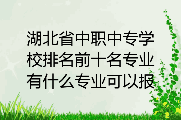 湖北省中职中专学校排名前十名专业有什么专业可以报