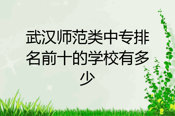 武汉师范类中专排名前十的学校有多少