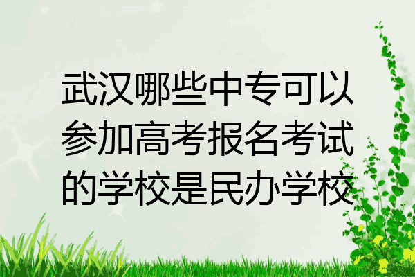 武汉哪些中专可以参加高考报名考试的学校是民办学校