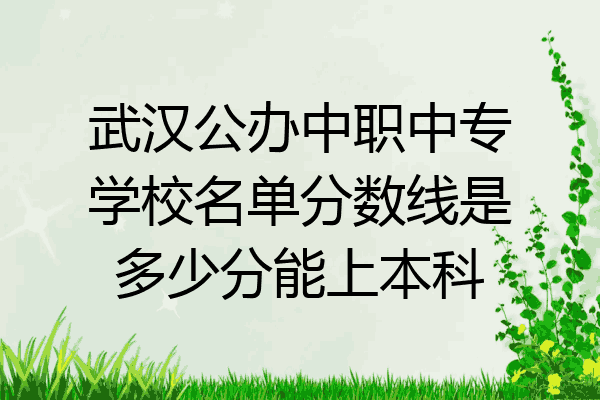 武汉公办中职中专学校名单分数线是多少分能上本科