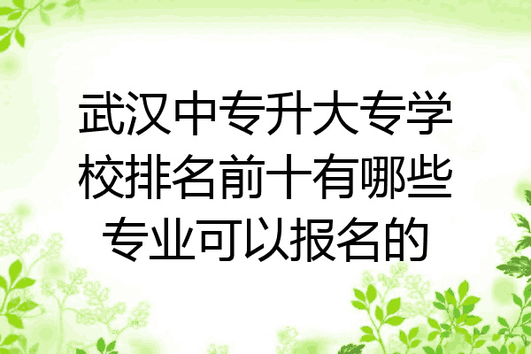 武汉中专升大专学校排名前十有哪些专业可以报名的