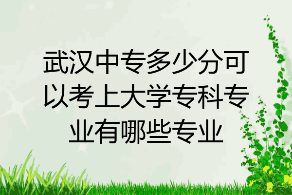 武汉中专多少分可以考上大学专科专业有哪些专业