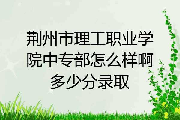 荆州市理工职业学院中专部怎么样啊多少分录取