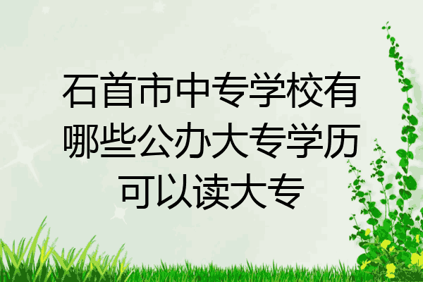 石首市中专学校有哪些公办大专学历可以读大专