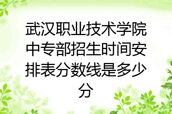 武汉职业技术学院中专部招生时间安排表分数线是多少分