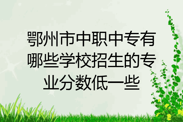 鄂州市中职中专有哪些学校招生的专业分数低一些