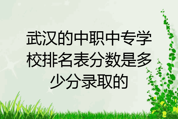 武汉的中职中专学校排名表分数是多少分录取的