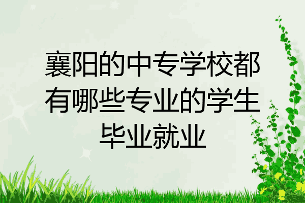 襄阳的中专学校都有哪些专业的学生毕业就业