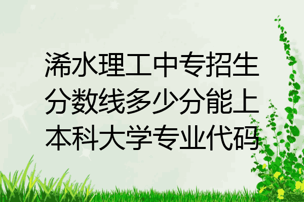 浠水理工中专招生分数线多少分能上本科大学专业代码
