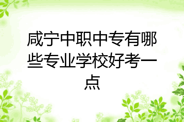 咸宁中职中专有哪些专业学校好考一点