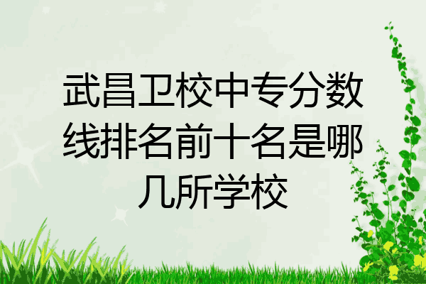 武昌卫校中专分数线排名前十名是哪几所学校