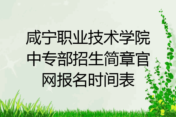 咸宁职业技术学院中专部招生简章官网报名时间表