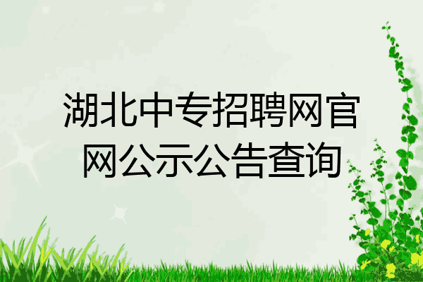 湖北中专招聘网官网公示公告查询