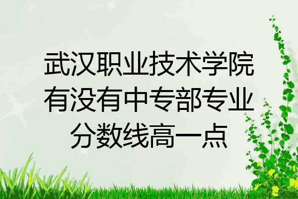 武汉职业技术学院有没有中专部专业分数线高一点