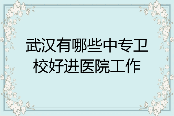 武汉有哪些中专卫校好进医院工作