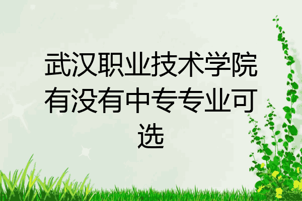 武汉职业技术学院有没有中专专业可选