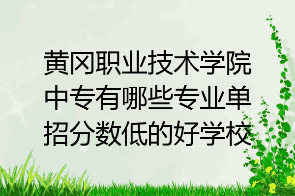 黄冈职业技术学院中专有哪些专业单招分数低的好学校