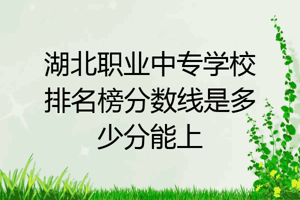 湖北职业中专学校排名榜分数线是多少分能上