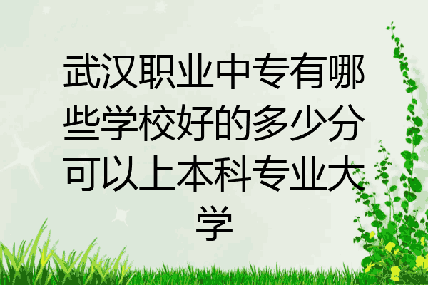 武汉职业中专有哪些学校好的多少分可以上本科专业大学