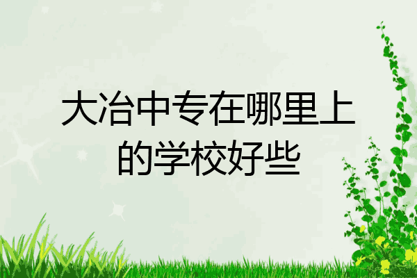 大冶中专在哪里上的学校好些