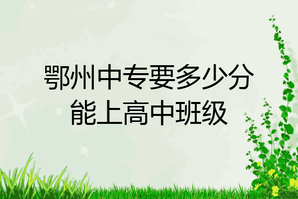 鄂州中专要多少分能上高中班级