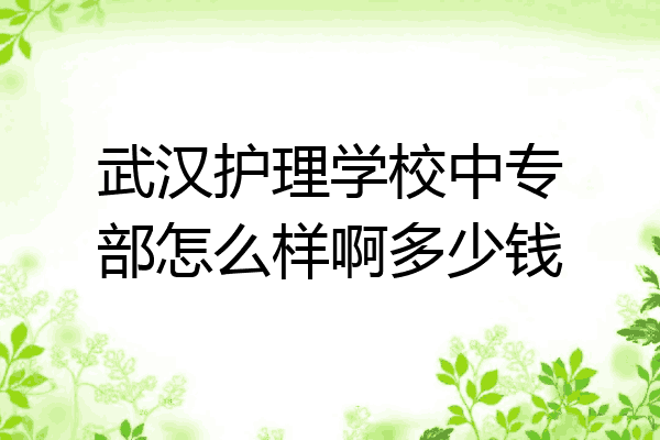 武汉护理学校中专部怎么样啊多少钱