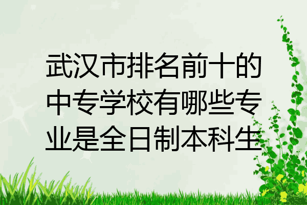 武汉市排名前十的中专学校有哪些专业是全日制本科生
