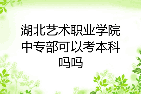 湖北艺术职业学院中专部可以考本科吗吗