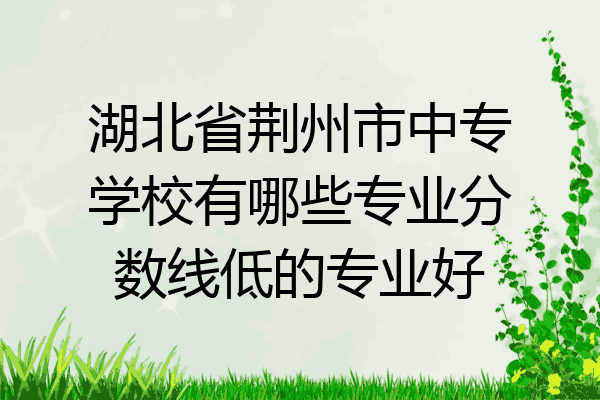 湖北省荆州市中专学校有哪些专业分数线低的专业好