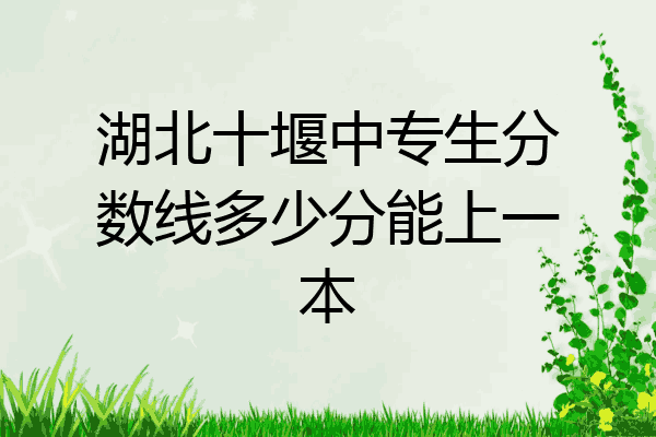 湖北十堰中专生分数线多少分能上一本