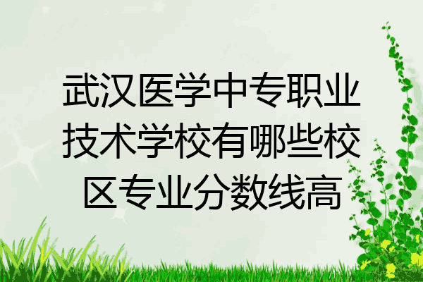 武汉医学中专职业技术学校有哪些校区专业分数线高