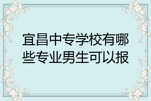宜昌中专学校有哪些专业男生可以报