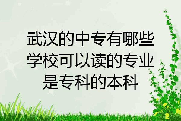 武汉的中专有哪些学校可以读的专业是专科的本科