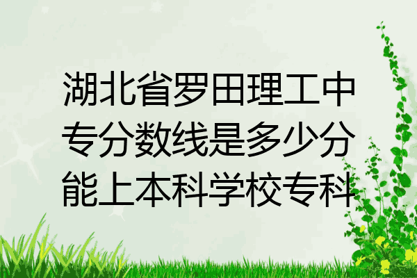 湖北省罗田理工中专分数线是多少分能上本科学校专科