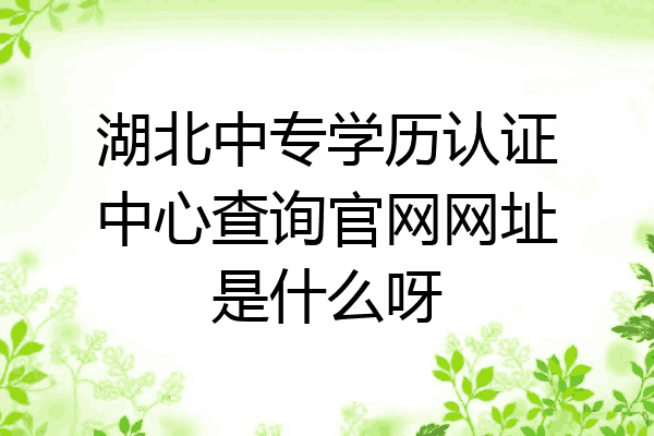 湖北中专学历认证中心查询官网网址是什么呀