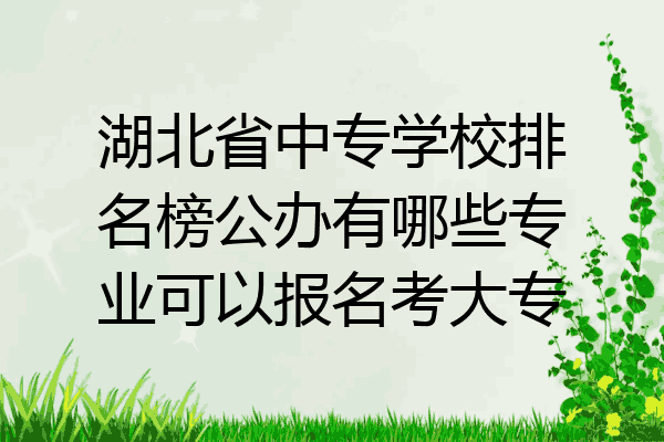 湖北省中专学校排名榜公办有哪些专业可以报名考大专
