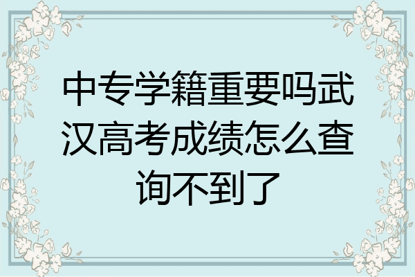 中专学籍重要吗武汉高考成绩怎么查询不到了