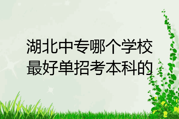 湖北中专哪个学校最好单招考本科的