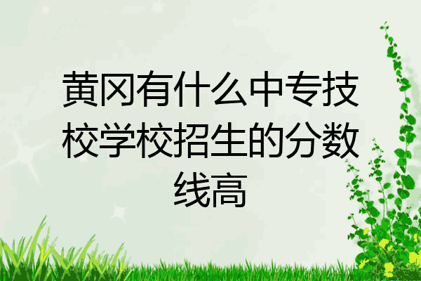 黄冈有什么中专技校学校招生的分数线高