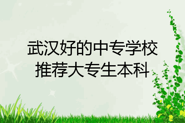 武汉好的中专学校推荐大专生本科