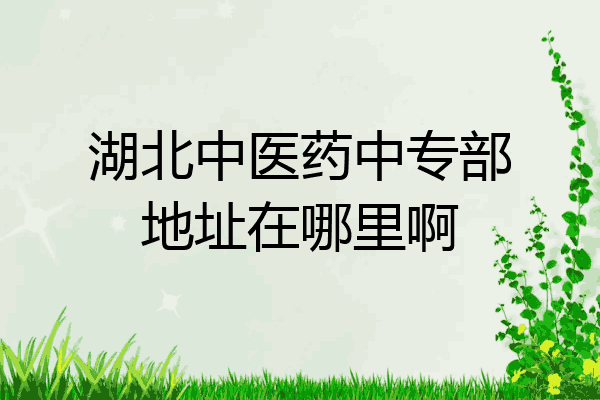 湖北中医药中专部地址在哪里啊