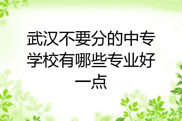 武汉不要分的中专学校有哪些专业好一点