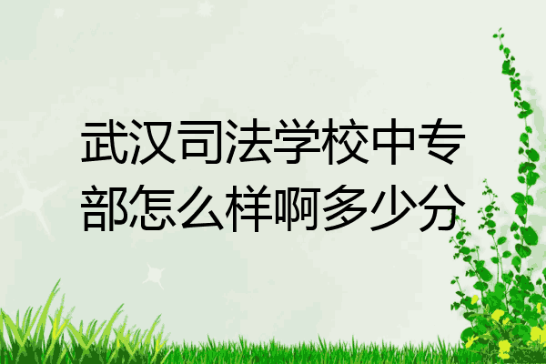 武汉司法学校中专部怎么样啊多少分