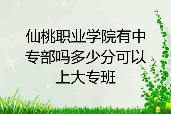 仙桃职业学院有中专部吗多少分可以上大专班